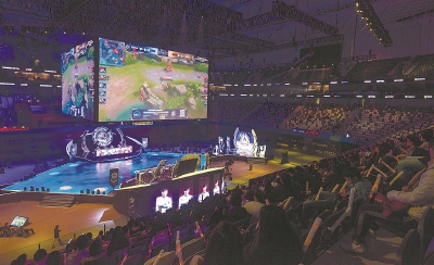 合理的异议 合理的异议