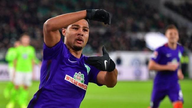 在本届欧锦 在本届欧锦