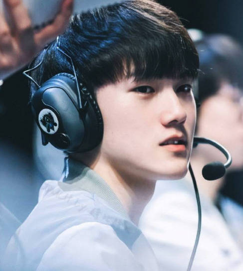 但由于阵容 但由于阵容