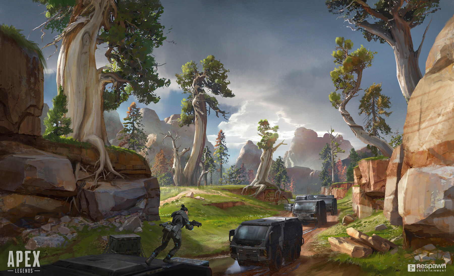 教练团队的 教练团队的